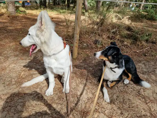 Location vélo Ronce-les-Bains