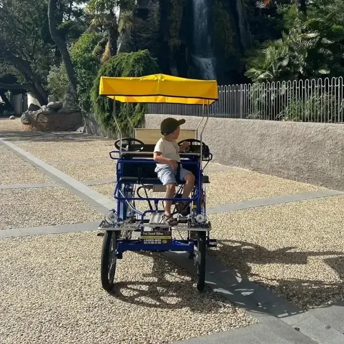 location rosalie électrique